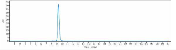 The purity of Anti-ACVRL1/ALK-1 Reference Antibody (ascrinvacumab)is more than 95%