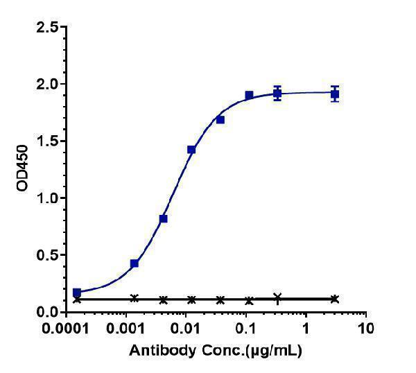 Immobilized human cMet His at 2 &mug/mL can bind Anti-HGFR/c-Met Reference Antibody (amivantamab)