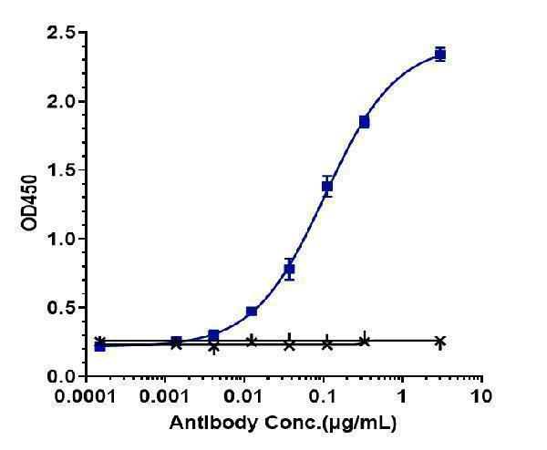 Immobilized human cMet His at 2 &mug/mL can bind Anti-HGFR/c-Met Reference Antibody (telisotuzumab vedotin)
