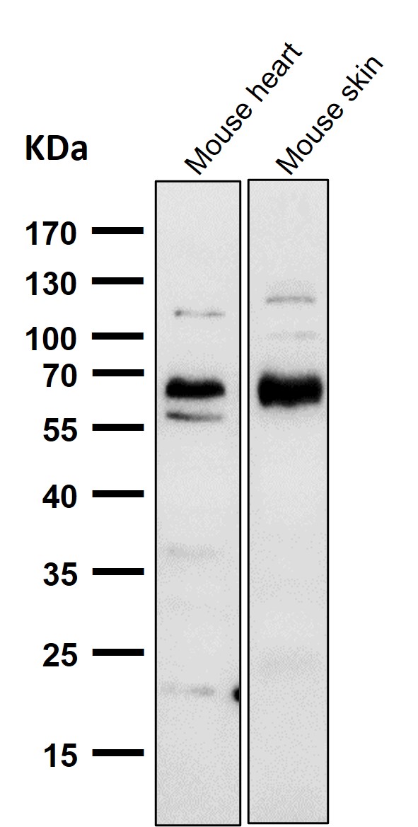 m01493 wb7