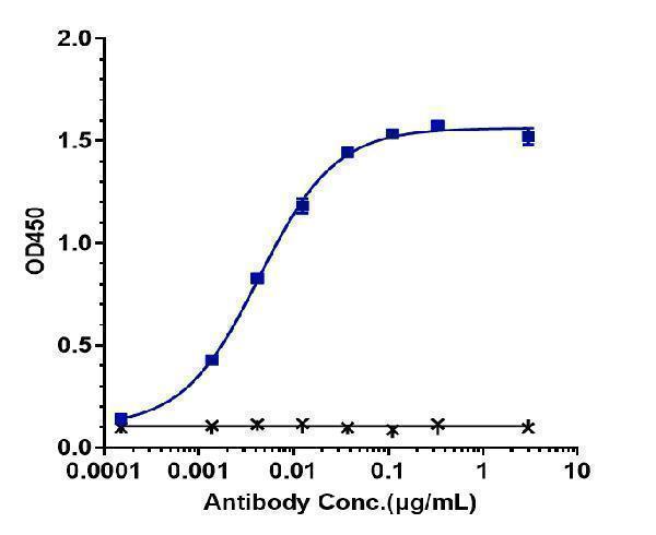 Immobilized human CD33 His at 2 &mug/mL can bind Anti-Siglec-3/CD33 Reference Antibody (Gemtuzumab)