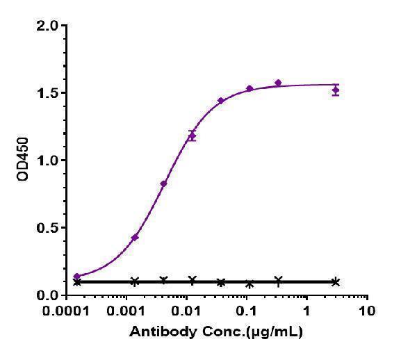 Immobilized human CD33 His at 2 &mug/mL can bind Anti-Siglec-3/CD33 Reference Antibody (gemtuzumab-CLM)