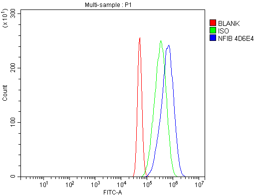  Flow Cytometry analysis of A431 cells using anti-NFIB/NF1B2 antibody (M01537-1)