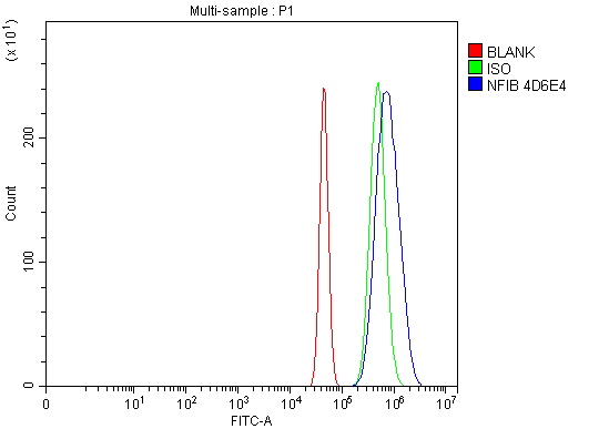 m01537 1 nfib primary antibodies fcm testing 5