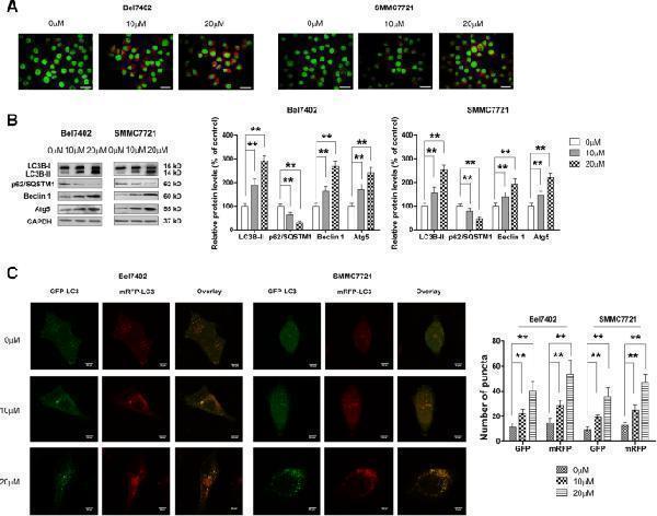 m01543 1 13046_2018_1012_fig3_html