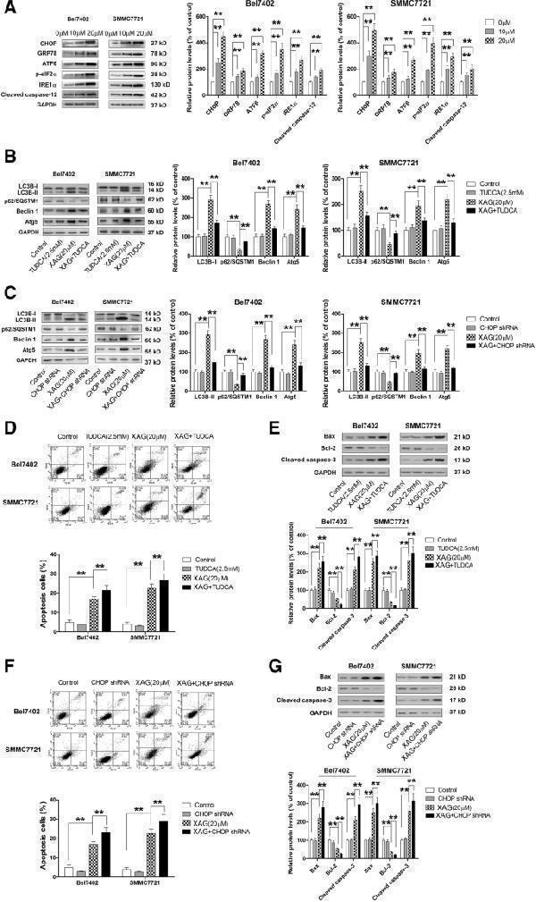 m01543 1 13046_2018_1012_fig5_html