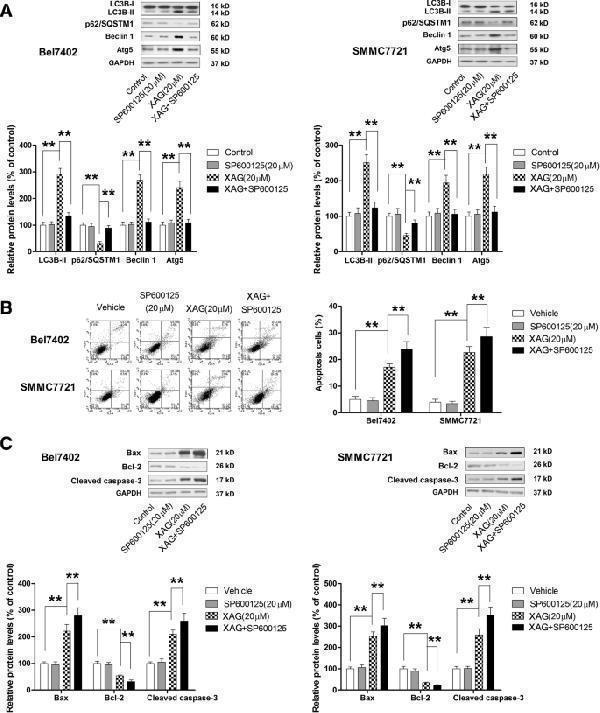 m01543 1 13046_2018_1012_fig7_html