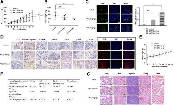 m01543 1 13046_2018_1012_fig8_html