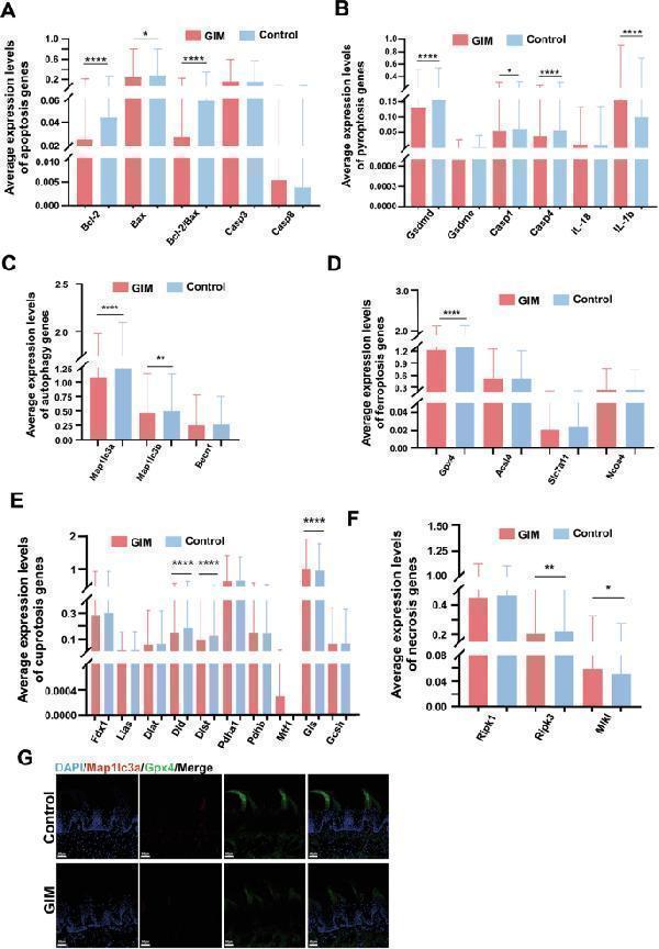 m01543 1 41420_2025_2386_fig3_html