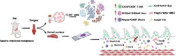 m01543 1 41420_2025_2386_figa_html