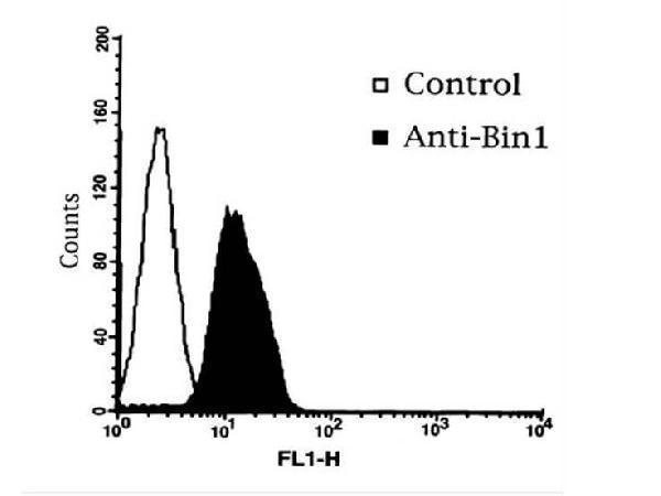 m01551 bin1 primary antibodies fcm testing 3