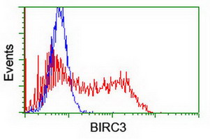 HEK293T cells transfected with either BIRC3 (Myc-DDK-tagged) overexpress plasmid (Red) or empty vector control plasmid (Blue) were immunostained by anti-BIRC3 antibody (M01562-1)