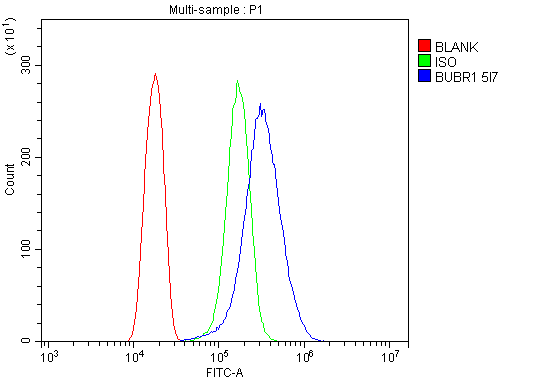 m01564 2 bubr1 bub1b primary antibodies fcm testing 6