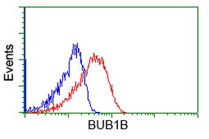 Flow cytometric Analysis of Jurkat cells
