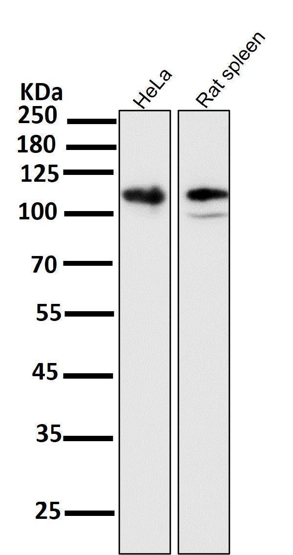 m01573 wb8