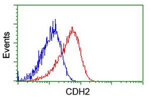 Flow cytometric Analysis of Hela cells