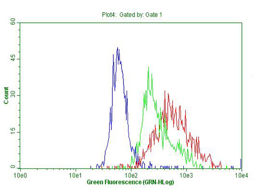 m01603 1 anti iqgap1 mouse monoclonal antibody clone id oti5f9 flow cytometry testing 7
