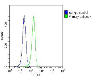 m01608 1 anti rab27a antibody fc testing 2