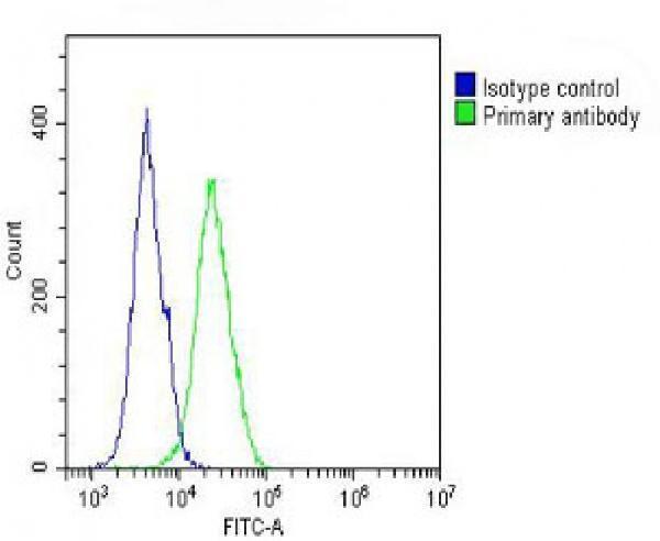 m01612 anti slc22a2 antibody n term fc testing 4