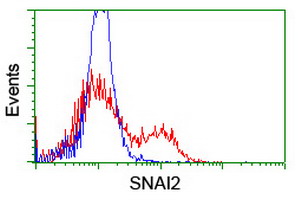 m01615 1 anti slug snai2 mouse monoclonal antibody clone id oti1a6 flow cytometry testing 9
