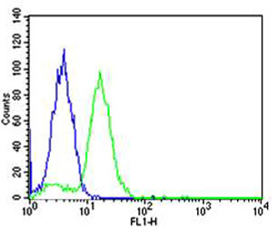 m01616 anti bcl10 antibody fc testing 4