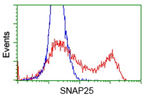 m01625 1 anti snap25 mouse monoclonal antibody clone id oti4b5 flow cytometry testing 7