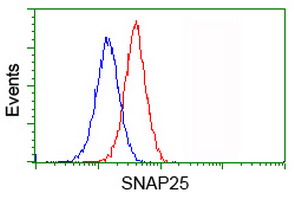 m01625 1 anti snap25 mouse monoclonal antibody clone id oti4b5 flow cytometry testing 8