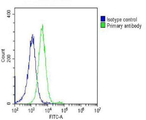 m01629 1 anti dnm2 antibody n term fc testing 3