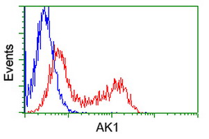 m01645 anti adenylate kinase 1 ak1 mouse monoclonal antibody clone id oti8a1 flow cytometry testing 4