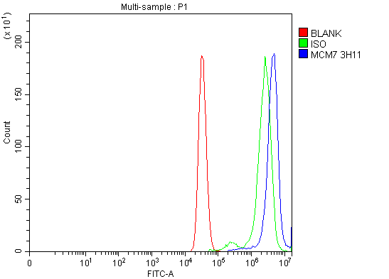 m01649 3 mcm7 primary antibodies fcm testing 7