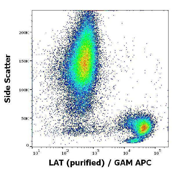 Flow cytometry intracellular staining pattern of human peripheral whole blood using anti-LAT (LAT-01) purified antibody (concentration in sample 1 µg/ml, GAM APC)
