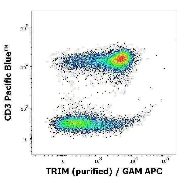 Flow cytometry multicolor intracellular staining of human peripheral whole blood stained using anti-LAT (LAT-01) purified antibody (concentration in sample 1 µg/ml, GAM APC) and anti-human CD3 (UCHT1) Pacific Blue™ antibody (20 µl reagent / 100 µl of peripheral whole blood)