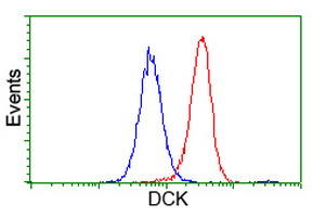 m01655 1 anti dck mouse monoclonal antibody clone id oti3f5 flow cytometry testing 6