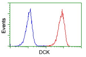m01655 1 anti dck mouse monoclonal antibody clone id oti3f5 flow cytometry testing 7