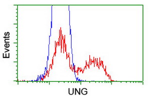m01672 1 anti ung mouse monoclonal antibody clone id oti1f8 flow cytometry testing 5