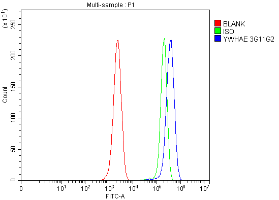 m01687 2 ywhae primary antibodies fcm testing 10
