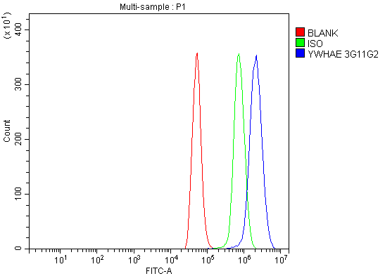m01687 2 ywhae primary antibodies fcm testing 11