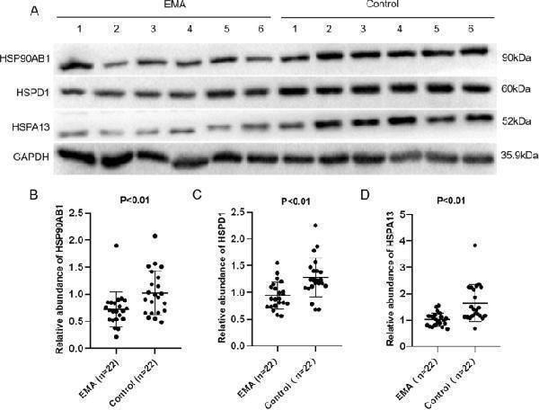 m01692 12953_2023_213_fig2_html