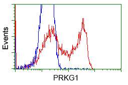 m01708 1 anti cgki prkg1 mouse monoclonal antibody clone id oti9a4 flow cytometry testing 2