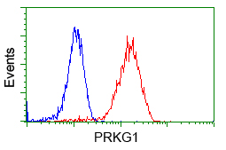 m01708 1 anti cgki prkg1 mouse monoclonal antibody clone id oti9a4 flow cytometry testing 3