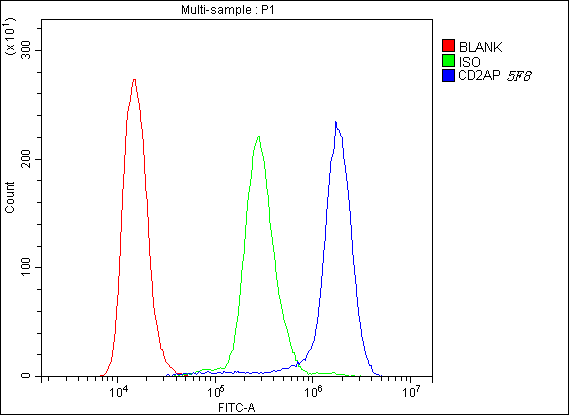 m01756 cd2ap primary antibodies fc testing 6