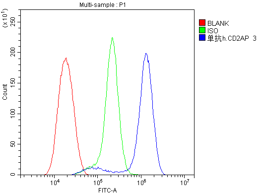 m01756 cd2ap primary antibodies ihc testing 15
