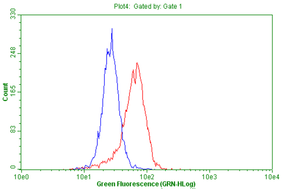 Flow cytometric Analysis of penetrated k562 cells