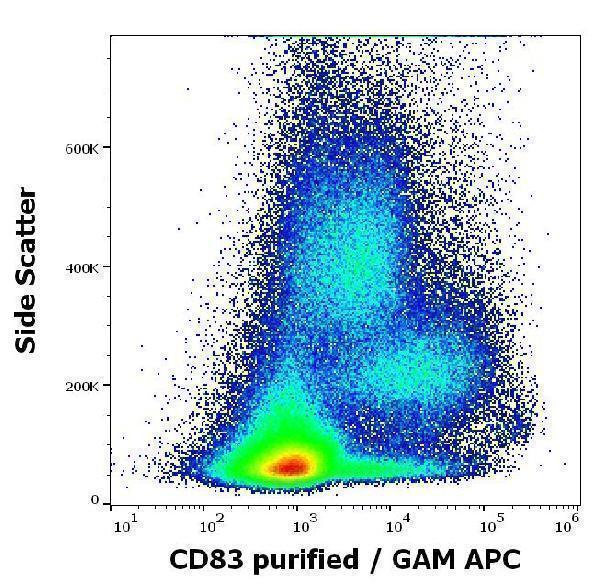 Flow cytometry surface staining pattern of human interferon alpha stimulated peripheral whole blood stained using anti-human CD83 (HB15e) purified antibody (concentration in sample 2 µg/ml, GAM APC)