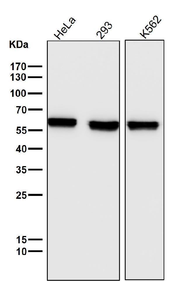 m01798 wb7