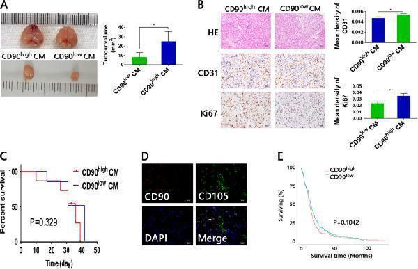 m01818 1 41419_2018_1140_fig5_html