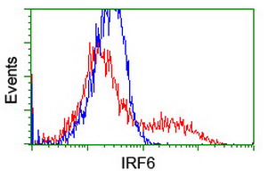 HEK293T cells transfected with either IRF6 (Myc-DDK-tagged) overexpress plasmid (Red) or empty vector control plasmid (Blue) were immunostained by anti-IRF6 antibody (M01822-1)