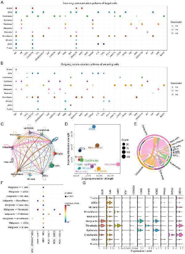 Single-cell communication networks