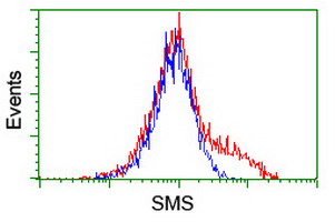 m01831 anti spermine synthase sms mouse monoclonal antibody clone id oti3c9 flow cytometry testing 10