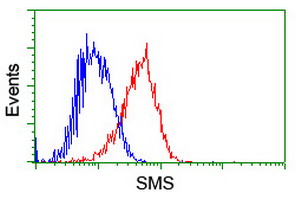 m01831 anti spermine synthase sms mouse monoclonal antibody clone id oti3c9 flow cytometry testing 11